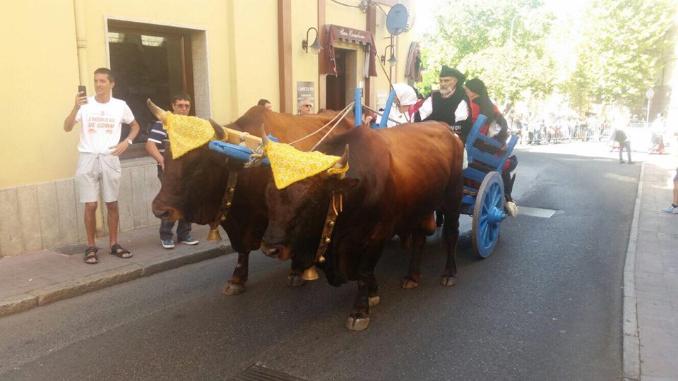 Sagra Del Redentore A Nuoro Le Foto I Colori E I Costumi Della