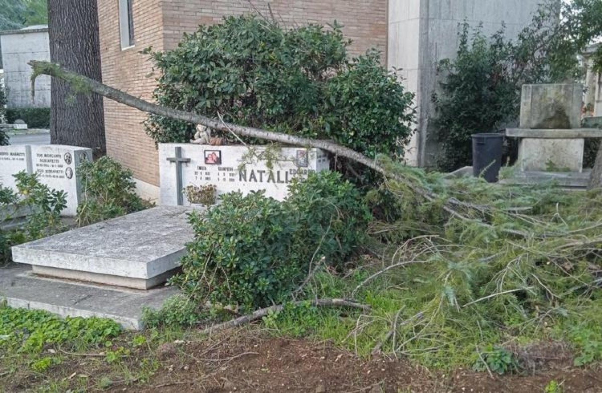 Degrado Al Cimitero Flaminio