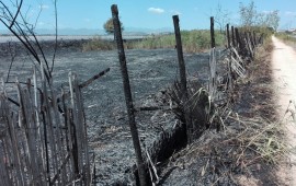 La zona devastata dall'incendio (foto Alessandro Pigliacampo)