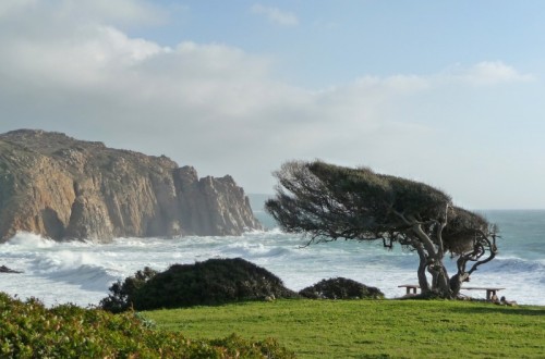 Ancora maestrale in Sardegna: weekend all’insegna del forte vento