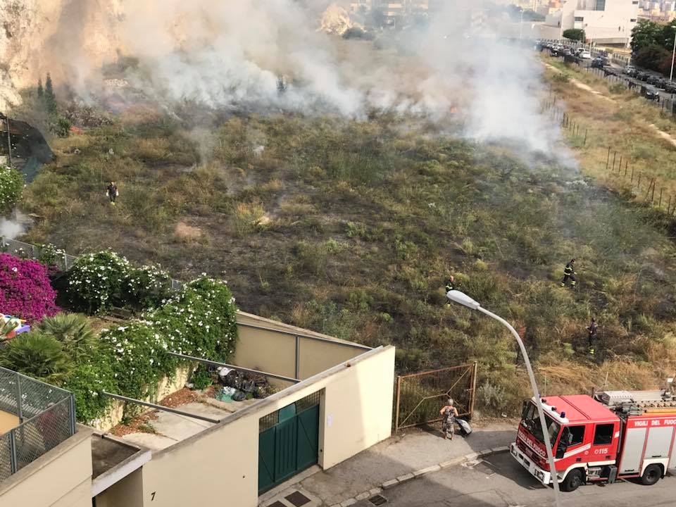 Rogo Selvaggio In Zona Merello Punici Incendio Spento Dai Vigili Del