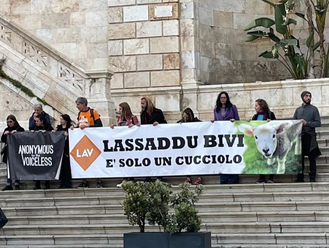 Presidio animalista contro l'agnellino di Pasqua | Cagliari - Vistanet