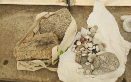 Rubano pietre e sassi dalle spiagge di San Teodoro: una famiglia segnalata