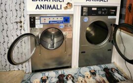 Capoterra. Apre lavanderia pet friendly: ha un’area separata interamente dedicata agli animali, oltre al classico self-service