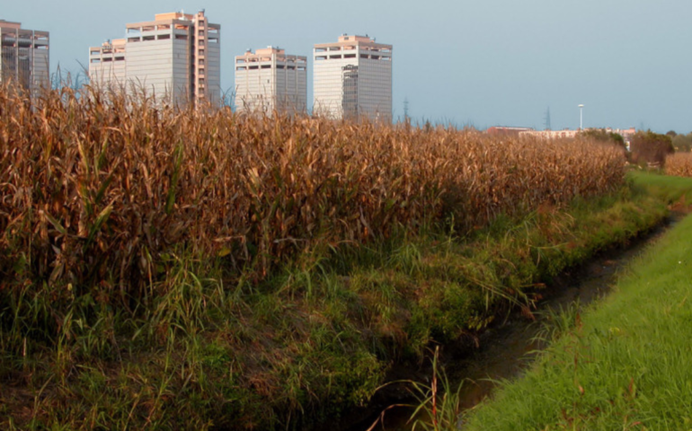 Alla scoperta dei parchi meneghini. Parco Agricolo Sud: il polmone verde di Milano