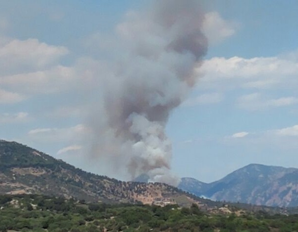 Ogliastra in fiamme. Grosso incendio tra Villagrande e Arzana