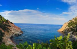 Cala Moresca (foto M.Piroddi)