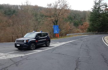 Massacro ovini a Tonara, carabinieri