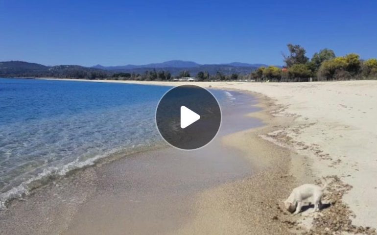 (VIDEO) Ogliastra, la bellezza della spiaggia di San Gemiliano (Tortolì)