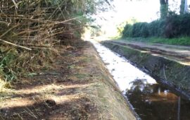 Tortolì, al via i lavori di pulizia dei canaloni e delle caditoie stradali in ambito urbano