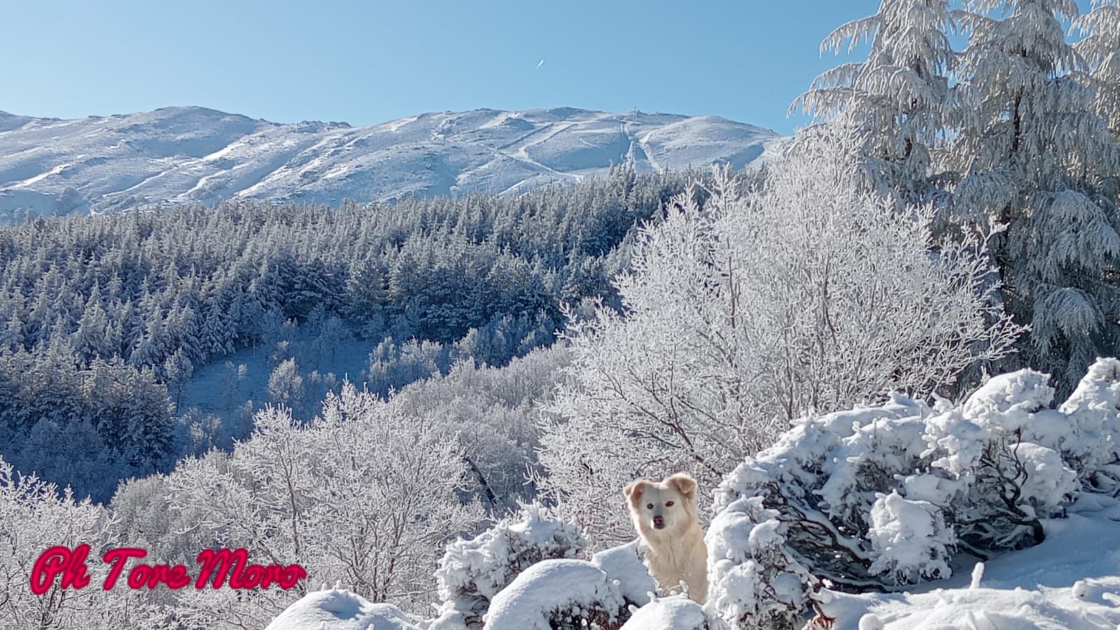 Neve a Fonni, foto di tore moro