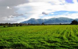 Pauli-Cungiau-foto-di-Italia-Nostra-Sardegna