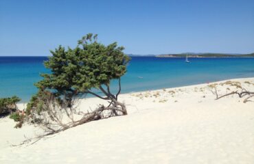 Le magnifiche dune di Porto PIno