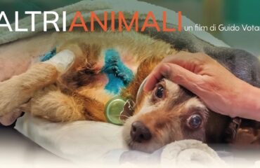 film sulla clinica veterinaria duemari di Oristano