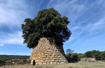 Il nuraghe con il boschetto dentro