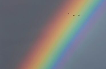 arcobaleno a cagliari