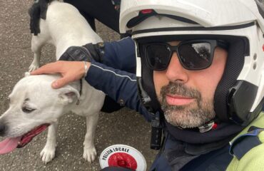 Cagliari, una storia a lieto a Is Mirrionis: recuperato un pitbull smarrito dalla Polizia Municipale