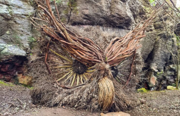 Un Bosco da Fiaba - Parco dell'ossidiana -Pau