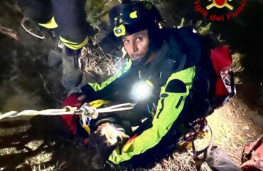 cane salvato dai vigili del fuoco