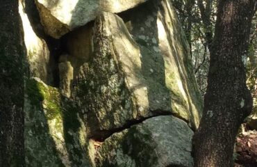 volto scolpito nella pietra nel bosco di lanusei in ogliastra